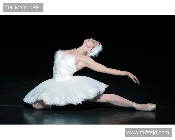 俄罗斯芭蕾舞界的顶尖明星排名与成就分析