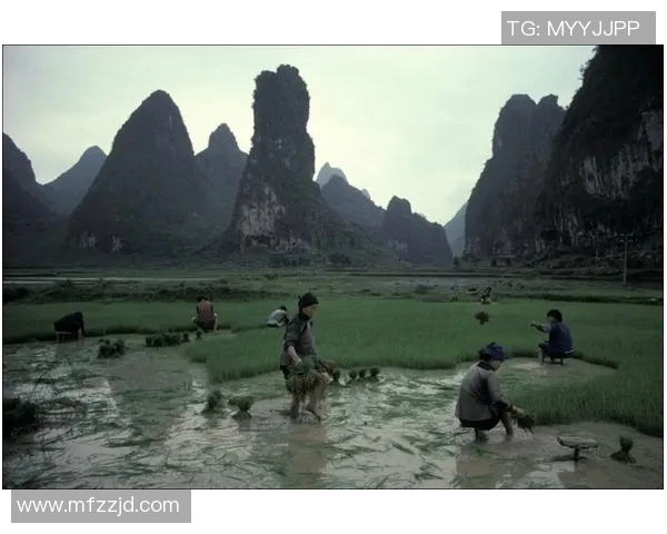 日本足球明星久保田的成长历程与职业生涯分析